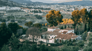 Alicante interior